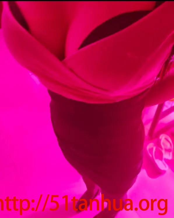 服务系长腿大胸姐姐